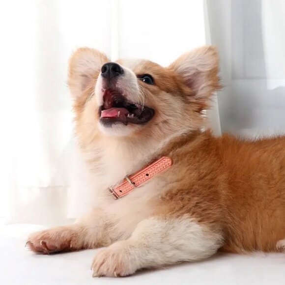 Kasen Herringbone Pattern Coral Pink Dog Collar Large Gift Packaged - Picture 3 of 10